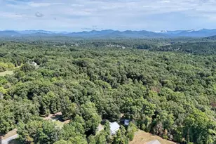 90 Paul Nicholson Rd, Blairsville, GA 30512 - Photo 60