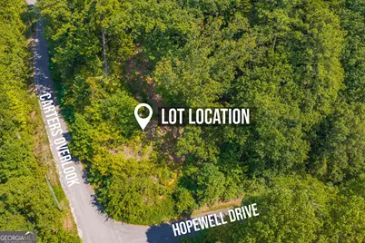 104 Hopewell Drive, Ranger, GA 30734 - Photo 4