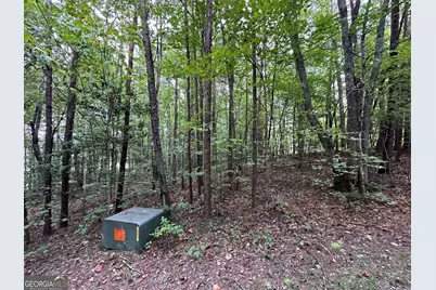 368 Harkins Road, Cleveland, GA 30528 - Photo 6