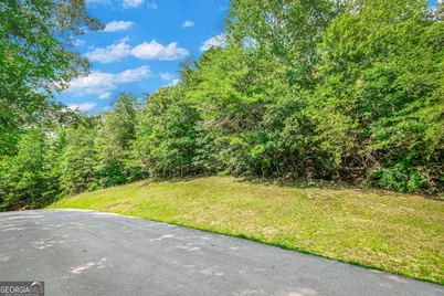 Lot 104 Mountain Creek Hollow Drive, Talking Rock, GA 30175 - Photo 4