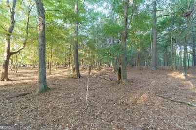 3113 Morningside Drive, Watkinsville, GA 30677 - Photo 44