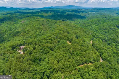 4.7Ac Mountain Creek Hollow Drive, Talking Rock, GA 30175 - Photo 16