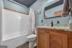 185 Pine Ln, Mineral Bluff, GA 30559 - Photo 58