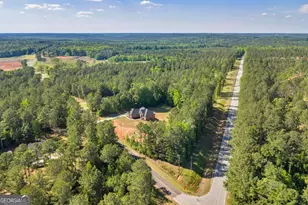 2594 Lassiter Rd, Forsyth, GA 31029 - Photo 42