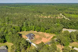 2594 Lassiter Rd, Forsyth, GA 31029 - Photo 54