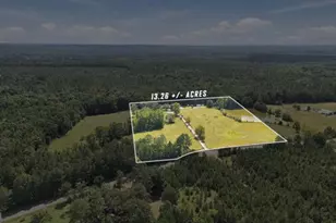 1580 Bramlett Rd, Greensboro, GA 30642 - Photo 4