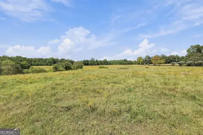 1580 Bramlett Road, Greensboro, GA 30642 - Photo 30