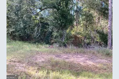 6965 Jim Pruett Road, Eastman, GA 31023 - Photo 2