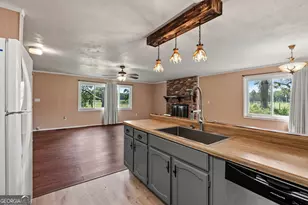 677 Palmer Rd, Pelham, GA 31779 - Photo 10