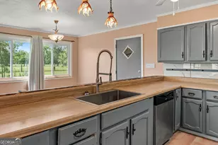 677 Palmer Rd, Pelham, GA 31779 - Photo 8