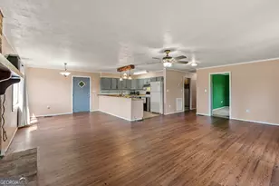 677 Palmer Rd, Pelham, GA 31779 - Photo 4