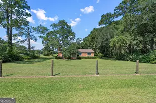 677 Palmer Rd, Pelham, GA 31779 - Photo 1