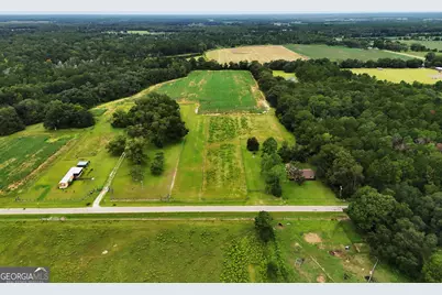 677 Palmer Road, Pelham, GA 31779 - Photo 38
