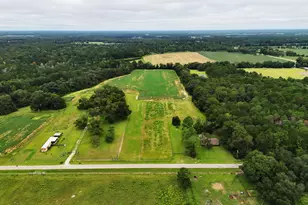 677 Palmer Rd, Pelham, GA 31779 - Photo 38