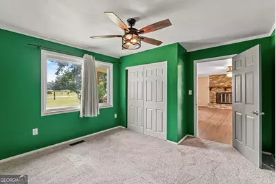 677 Palmer Road, Pelham, GA 31779 - Photo 12