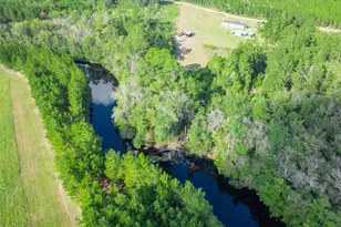 968 Brenda Kaye Yawn Rd, Baxley, GA 31513 - Photo 26