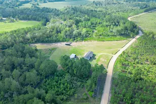 968 Brenda Kaye Yawn Rd, Baxley, GA 31513 - Photo 24