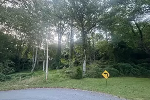 Lot 53 Circle Dr, Morganton, GA 30560 - Photo 1