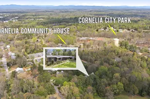 490 Maple St, Cornelia, GA 30531 - Photo 80