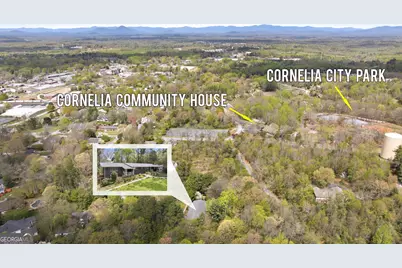 490 Maple Street, Cornelia, GA 30531 - Photo 80