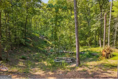 Lot 344 Lower Knoll Court, Talking Rock, GA 30175 - Photo 2