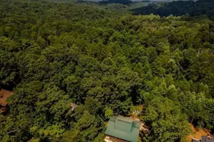 808 Villa Dr, Ellijay, GA 30540 - Photo 40