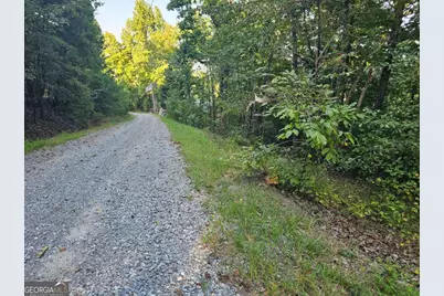 391 Meteor Court #391, Ranger, GA 30734 - Photo 2