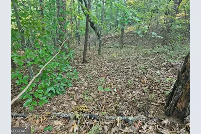 391 Meteor Court #391, Ranger, GA 30734 - Photo 20