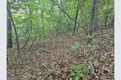 391 Meteor Court #391, Ranger, GA 30734 - Photo 1