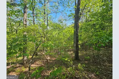 391 Meteor Court #391, Ranger, GA 30734 - Photo 22