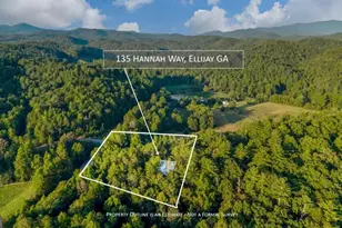 135 Hannah Way, Ellijay, GA 30540 - Photo 8
