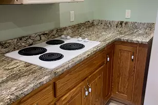 1545 Sam Bell Rd, Clarkesville, GA 30523 - Photo 18