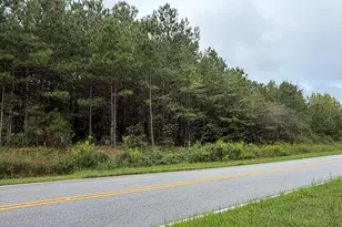 541 Hamp Chappell Rd, Carrollton, GA 30117 - Photo 1