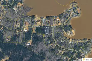 000 Heidi Trail, Buckhead, GA 30625 - Photo 1