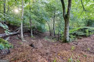 4879 Goddards Ford Rd, Gainesville, GA 30504 - Photo 58