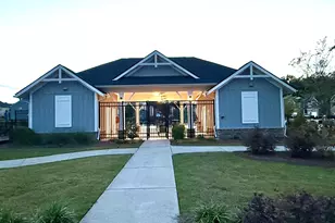 229 Lauritsen Way, Newnan, GA 30265 - Photo 4
