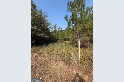 0 S Bartow Rd, Bartow, GA 30413 - Photo 4