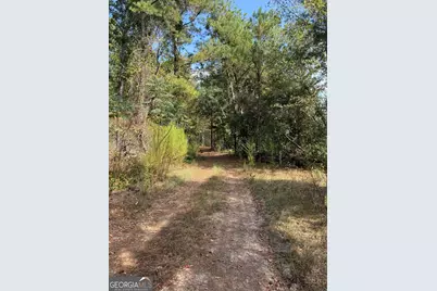 0 S Bartow Rd, Bartow, GA 30413 - Photo 10