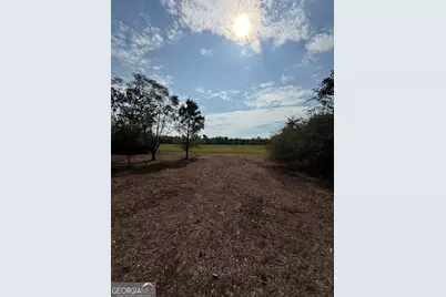 0 S Bartow Rd, Bartow, GA 30413 - Photo 2