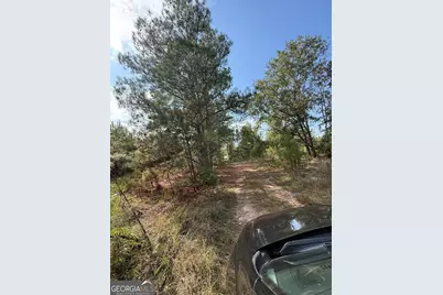 0 S Bartow Rd, Bartow, GA 30413 - Photo 8