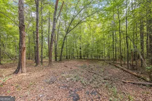 5301 Geneva Hwy, Talbotton, GA 31827 - Photo 36