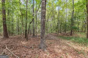 5301 Geneva Hwy, Talbotton, GA 31827 - Photo 38
