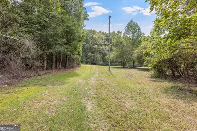 5301 Geneva Highway, Talbotton, GA 31827 - Photo 30