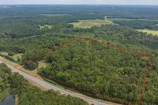5301 Geneva Hwy, Talbotton, GA 31827 - Photo 40