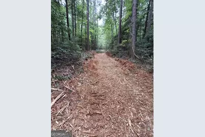 3729 Duncan Bridge Road, Cornelia, GA 30531 - Photo 64