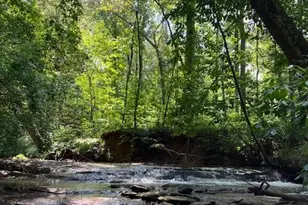 3729 Duncan Bridge Rd, Cornelia, GA 30531 - Photo 68