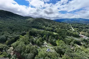 858 Old Forge Estates, Hiawassee, GA 30546 - Photo 18
