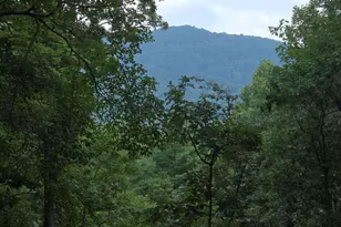 150 Trail Tree Dr, Blairsville, GA 30512 - Photo 2
