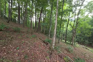 150 Trail Tree Dr, Blairsville, GA 30512 - Photo 76