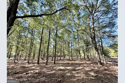 1 Kitchens Road, Macon, GA 31217 - Photo 2